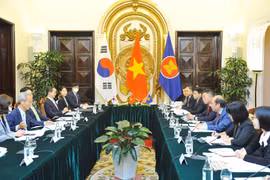 Quang cảnh buổi tham vấn. (Ảnh: Minh Đức/TTXVN)