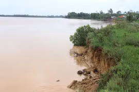 Bờ sông Thạch Hãn đoạn qua phường Đông Lương, thành phố Đông Hà, Quảng Trị bị sạt lở do mưa lớn. (Ảnh: Nguyên Lý/TTXVN)
