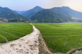 Ruộng bậc thang ở huyện vùng cao biên giới Mường Tè, Lai Châu. (Ảnh: Nguyễn Oanh - TTXVN)