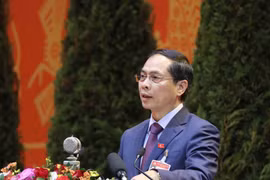 Đồng chí Bùi Thanh Sơn, Ủy viên Trung ương Đảng, Thứ trưởng thường trực Bộ Ngoại giao trình bày tham luận. (Ảnh: TTXVN)