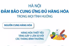 [Infographics] Hà Nội đảm bảo cung ứng hàng hóa trong mọi tình huống