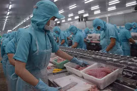 Quy trình sản xuất tại một cơ sở chế biến thủy sản của tỉnh Đồng Tháp. (Ảnh: Chương Đài/TTXVN)