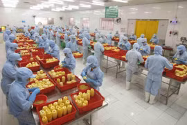 Chế biến sản phẩm dứa đóng hộp tại nhà máy của Công ty CP xuất nhập khẩu nông sản An Giang. (Ảnh: TTXVN)