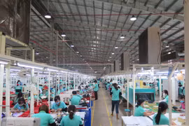 Hoạt động sản xuất tại nhà máy của công ty TNHH Victory International (Việt Nam) đã được hồi phục bình thường. (Ảnh: Minh Hưng/TTXVN)