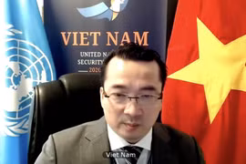 Đại sứ Phạm Hải Anh, Đại biện lâm thời của Việt Nam tại LHQ. (Ảnh: Hữu Thanh/TTXVN)