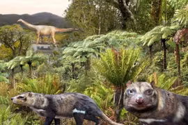 Loài Orretherium tzen hiện đã tuyệt chủng. (Nguồn: Reuters)