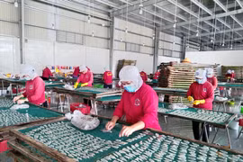 Công nhân làm việc trở lại sau thời gian giãn cách. (Ảnh: Huỳnh Phúc Hậu/TTXVN)