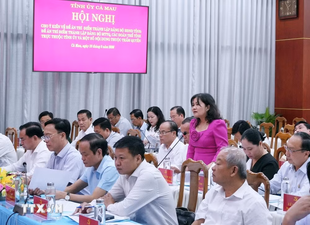ttxvn-tinh-uy-ca-mau-kien-toan-he-thong-chinh-tri-trong-tinh-hinh-moi3.jpg