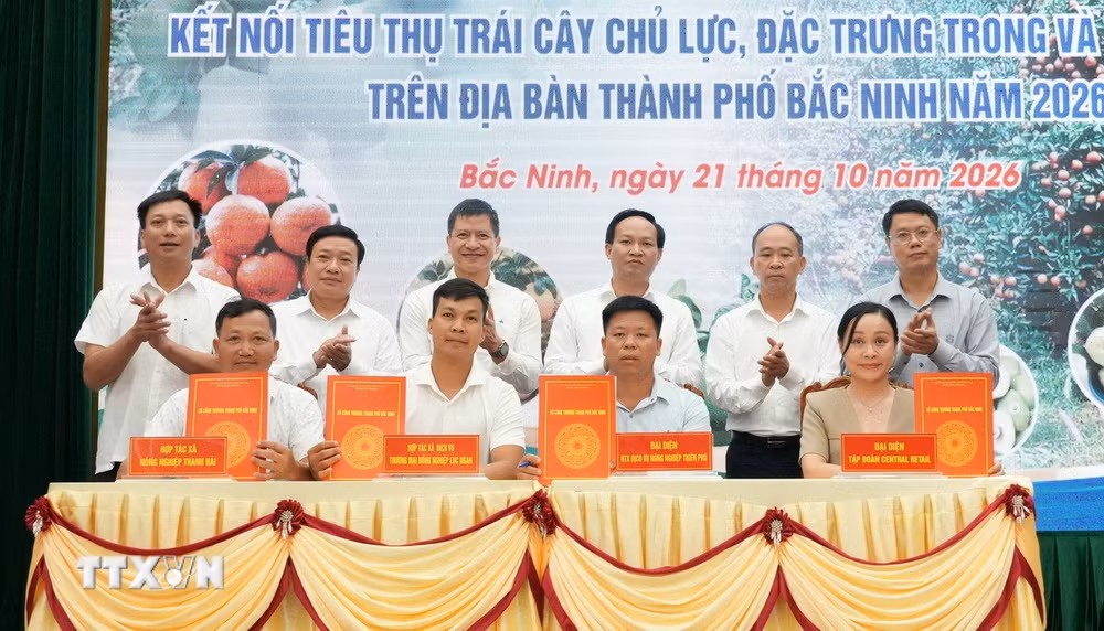 ttxvn_bac-ninh-ket-noi-tieu-thu-trai-cay-chu-luc-dac-trung-trong-va-ngoai-nuoc-nam-2026-2.jpg