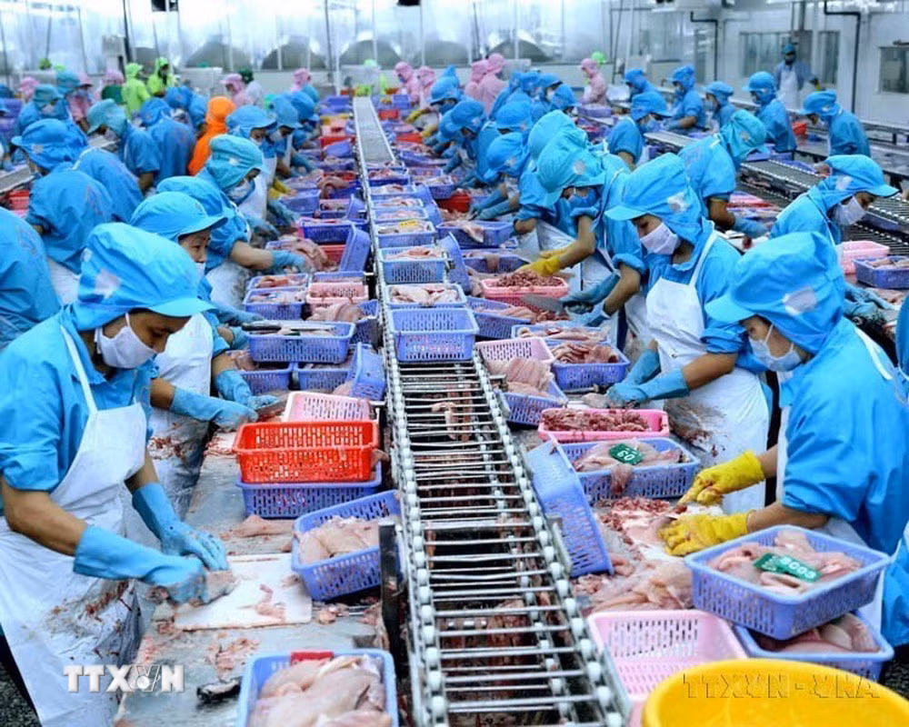 ttxvn-day-manh-quan-he-song-phuong-viet-nam-litva.jpg