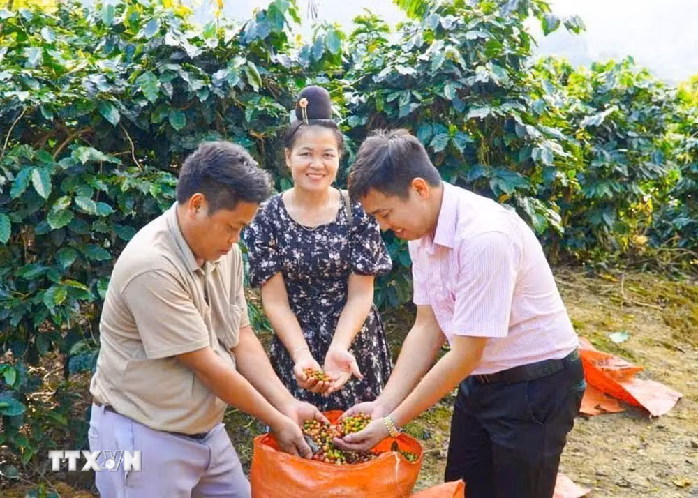ttxvn-dang-vien-tre-vung-cao-dien-bien-tien-phong-mo-loi-thoat-ngheo2.jpg
