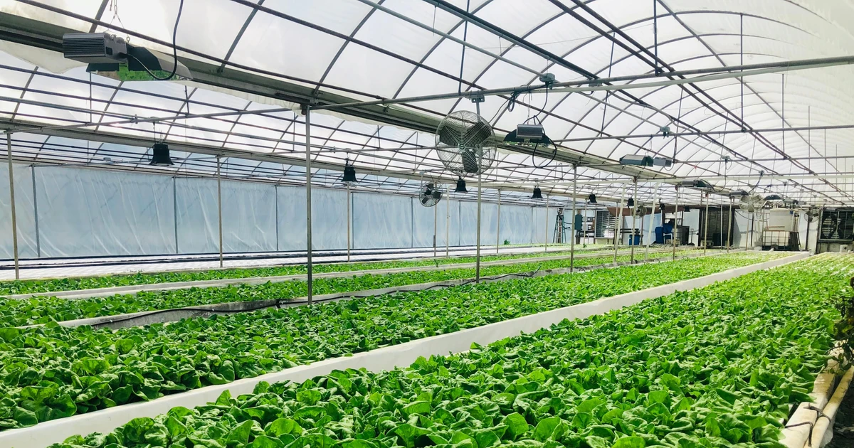 Bắc Ninh thúc đẩy chuyển đổi số, hướng tới nền nông nghiệp thông minh
