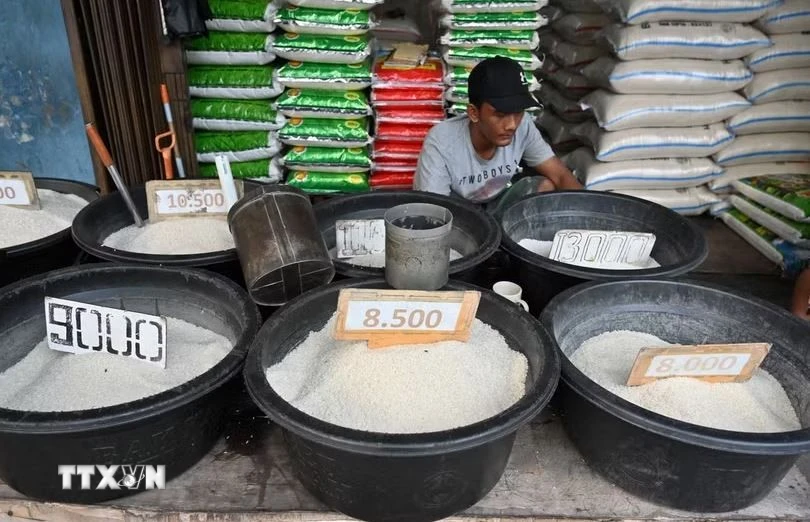 Indonesia đặt mục tiêu trở thành nước xuất khẩu gạo lớn thứ 2 thế giới