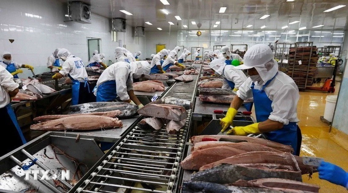 Quy định chứng nhận thủy sản xuất khẩu vào thị trường Hoa Kỳ