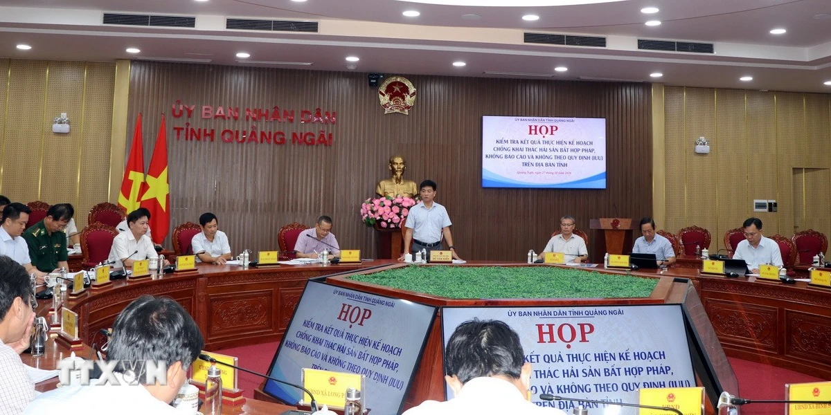 Khắc phục "thẻ vàng" IUU: Quảng Ngãi ra thời hạn hoàn thành cài đặt eCDT