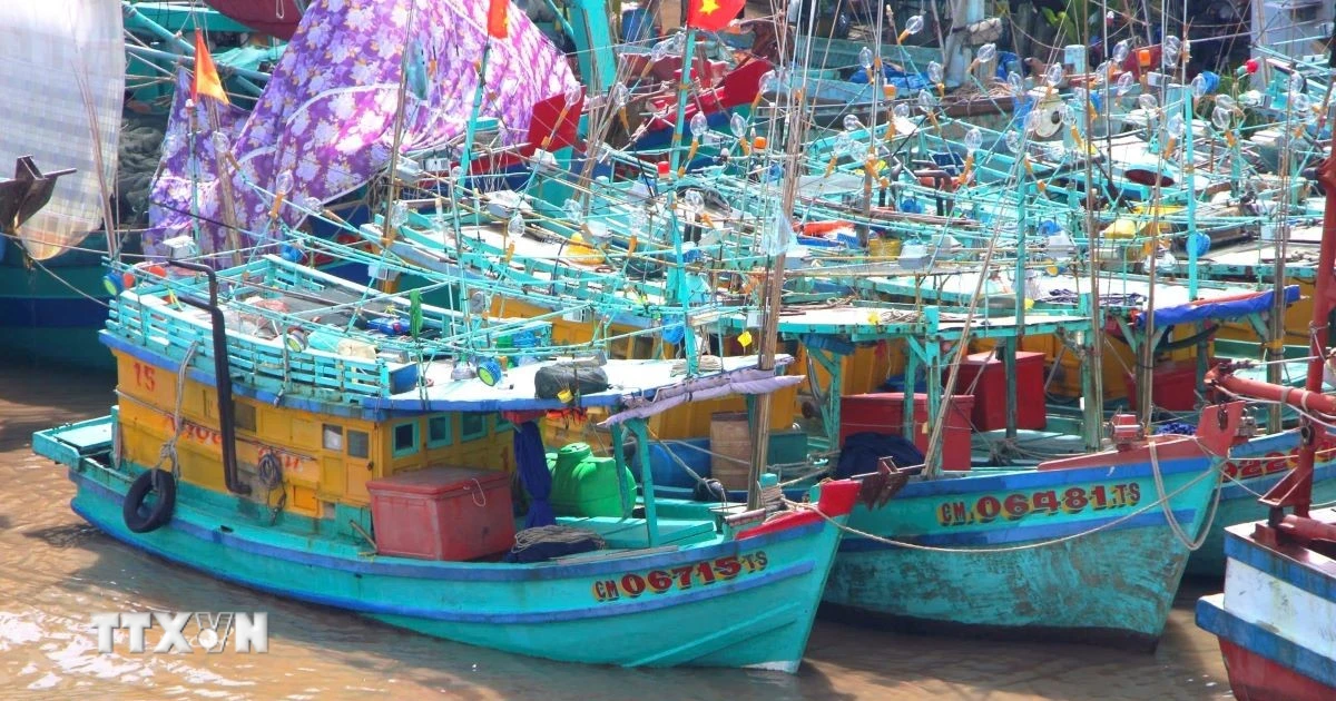 Khắc phục "thẻ vàng" IUU: Gỡ điểm nghẽn, xử lý triệt để vi phạm