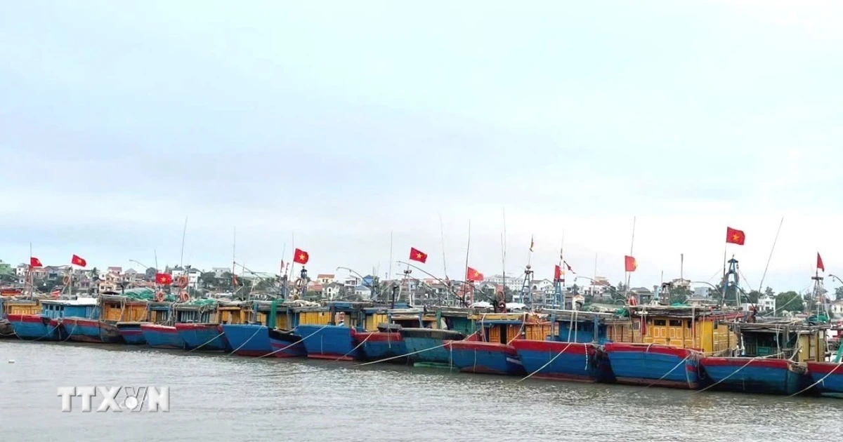 Khắc phục “thẻ vàng” IUU: Quảng Trị siết chặt quản lý hàng trăm tàu cá
