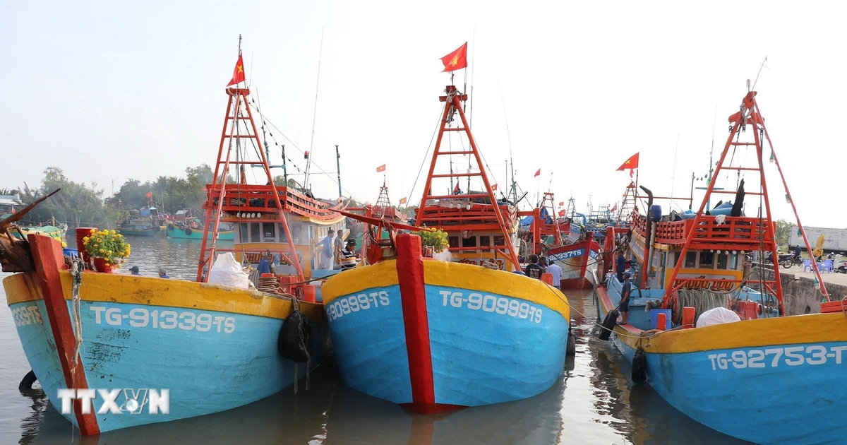 Khắc phục “thẻ vàng” IUU: Kiểm soát xuyên suốt chuỗi dữ liệu hoạt động tàu cá