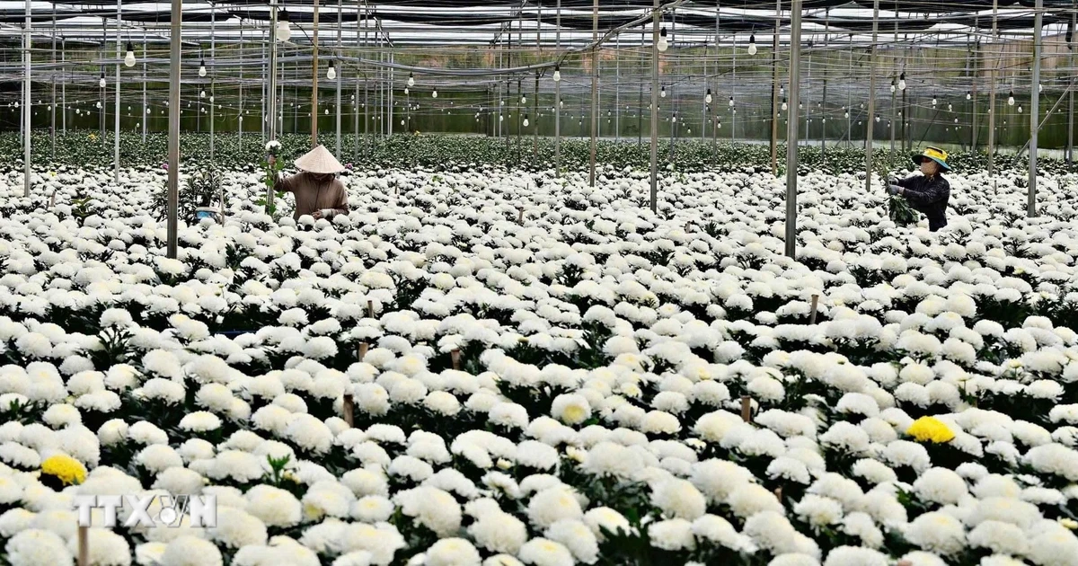 Minh bạch nguồn gốc, củng cố chuỗi liên kết