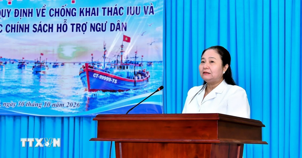 Cần Thơ hỗ trợ giải bản tàu cá, tạo sinh kế bền vững cho ngư dân