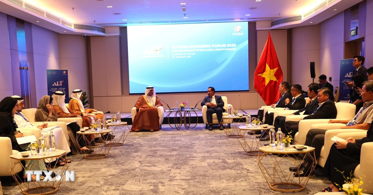 Thành phố Hồ Chí Minh thúc đẩy hợp tác năng lượng với UAE