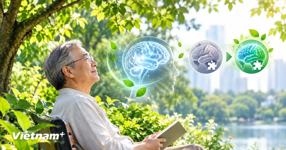 Người cao tuổi sống gần cây xanh có nguy cơ sa sút trí tuệ thấp hơn