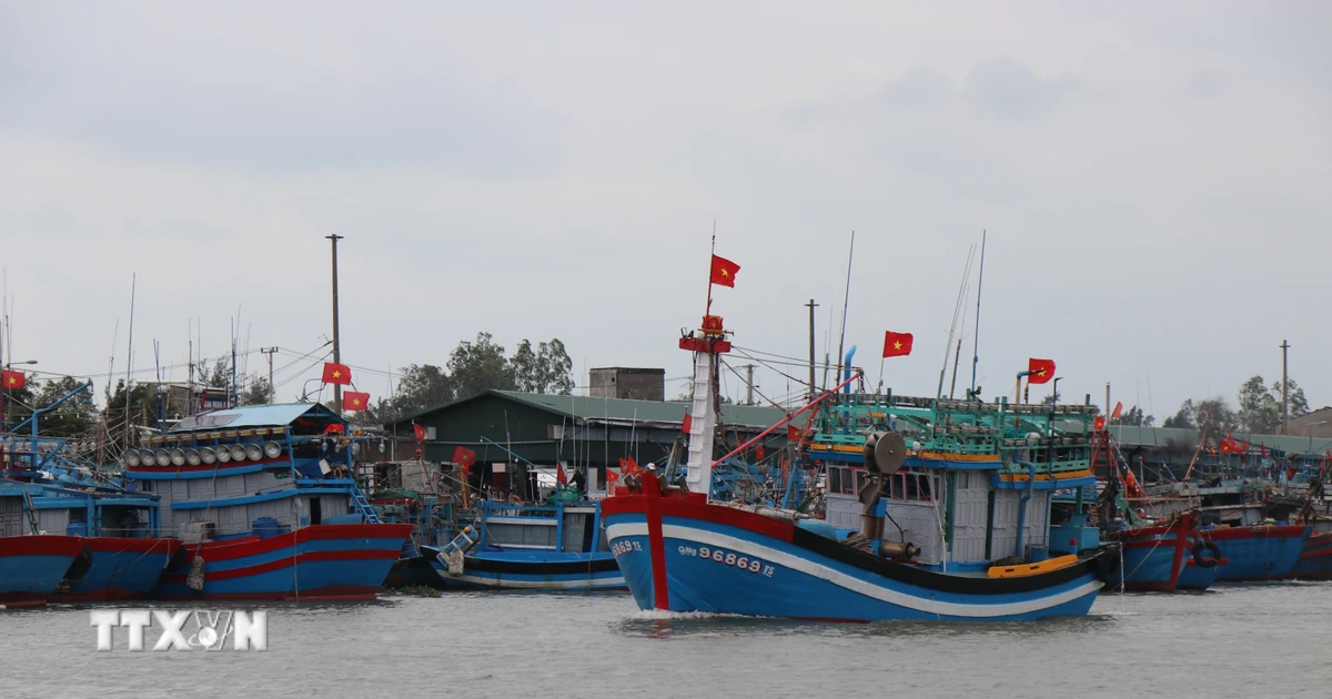 Quảng Ngãi siết chặt quản lý đội tàu cá, quyết liệt ngăn chặn vi phạm IUU