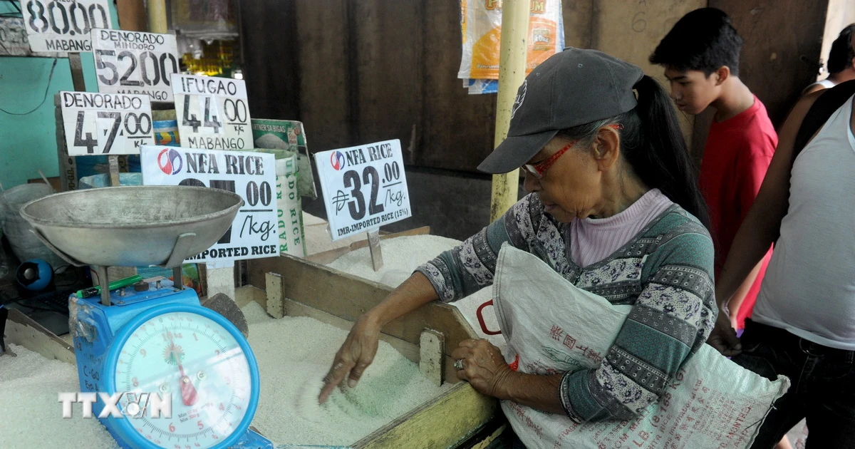 USDA: Philippines tiếp tục là nước nhập khẩu gạo lớn nhất thế giới
