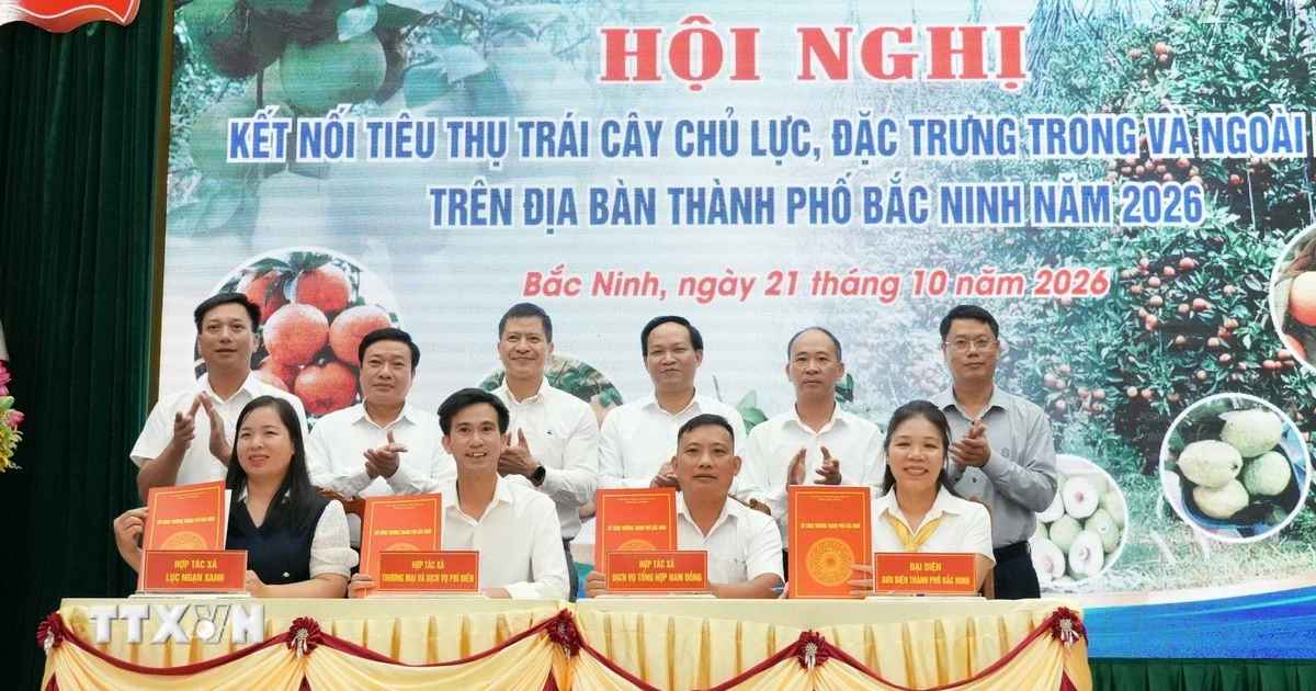 Bắc Ninh xúc tiến, kết nối thị trường tiêu thụ hơn 118.000 tấn trái cây