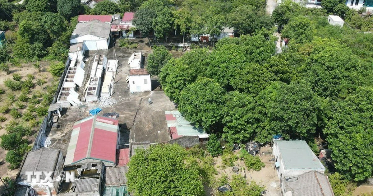 Nghệ An ngăn chặn tình trạng mua gom đất, tạo tài sản trái phép chờ bồi thường