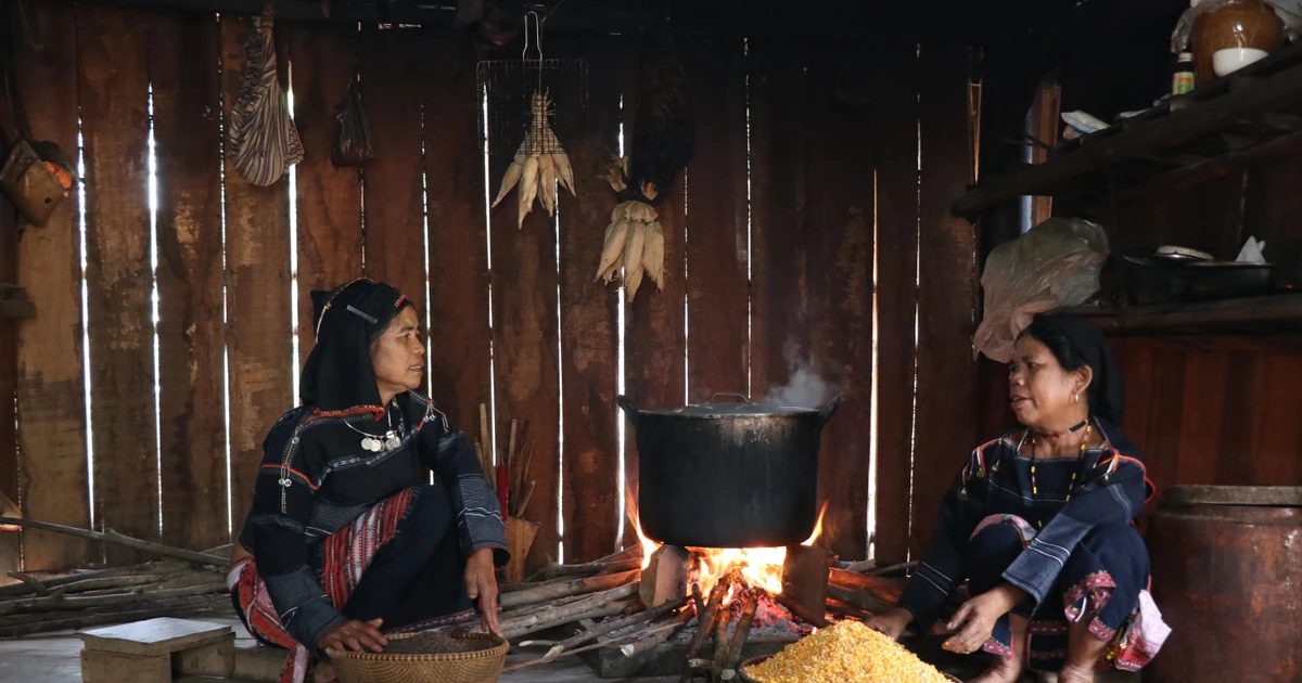 [Photo] Say nồng rượu cần men lá ở vùng đất đỏ bazan Tây Nguyên