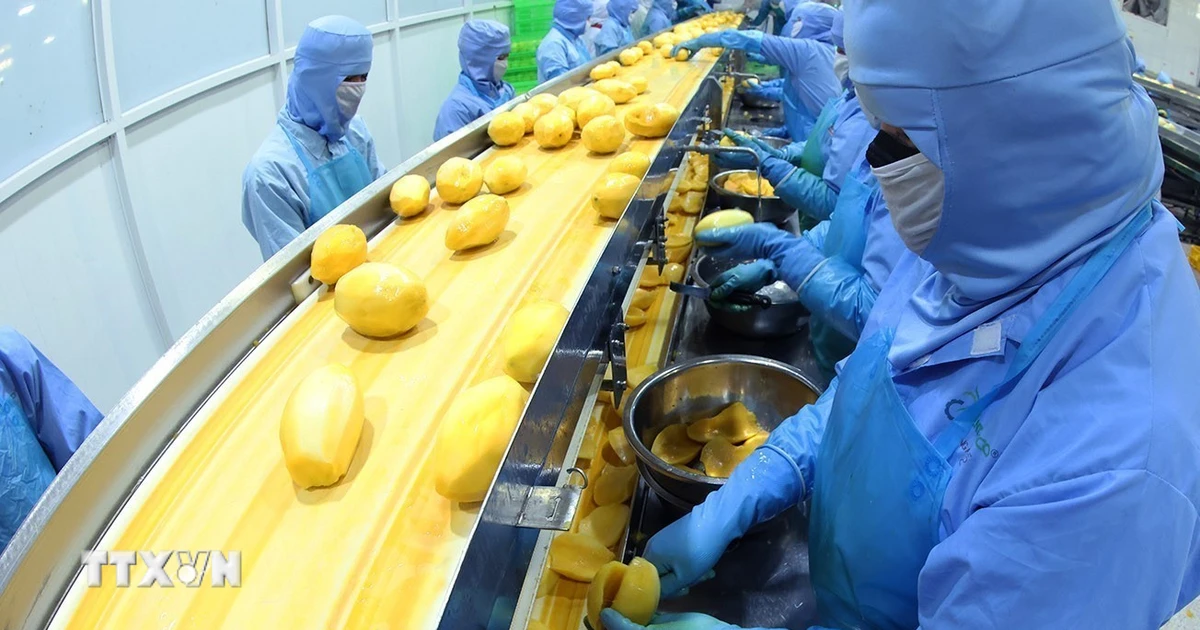 Việt Nam-Liên minh châu Âu: Nâng chuẩn nông sản, thúc đẩy chuyển đổi xanh