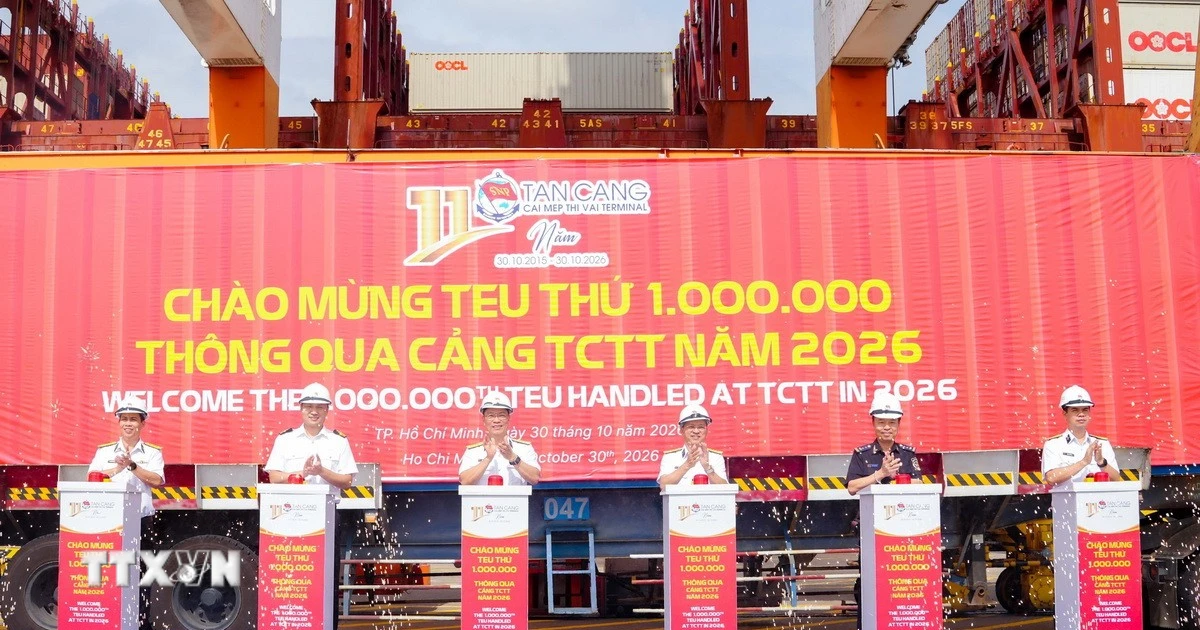 Cảng Tân Cảng-Cái Mép Thị Vải ba năm liên tiếp đạt mốc 1 triệu TEU