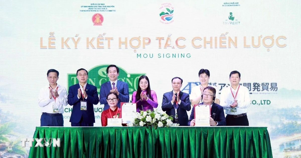 Thái Nguyên thúc đẩy kết nối, phát triển kinh tế trà toàn cầu