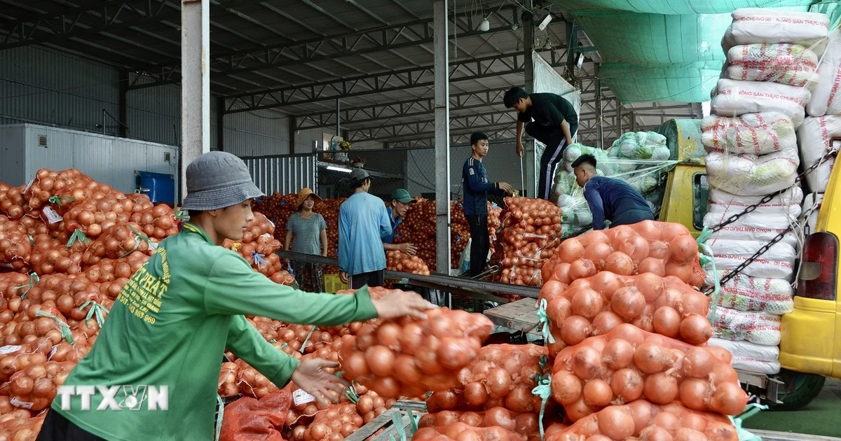 An Giang thúc đẩy xuất khẩu, nâng giá trị các mặt hàng chủ lực