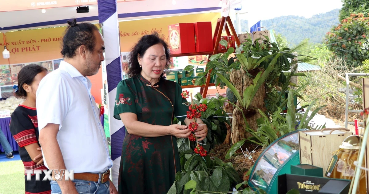 Quảng Ngãi: Khai mạc Lễ hội sâm Ngọc Linh và phiên chợ hàng Việt về xã Măng Ri