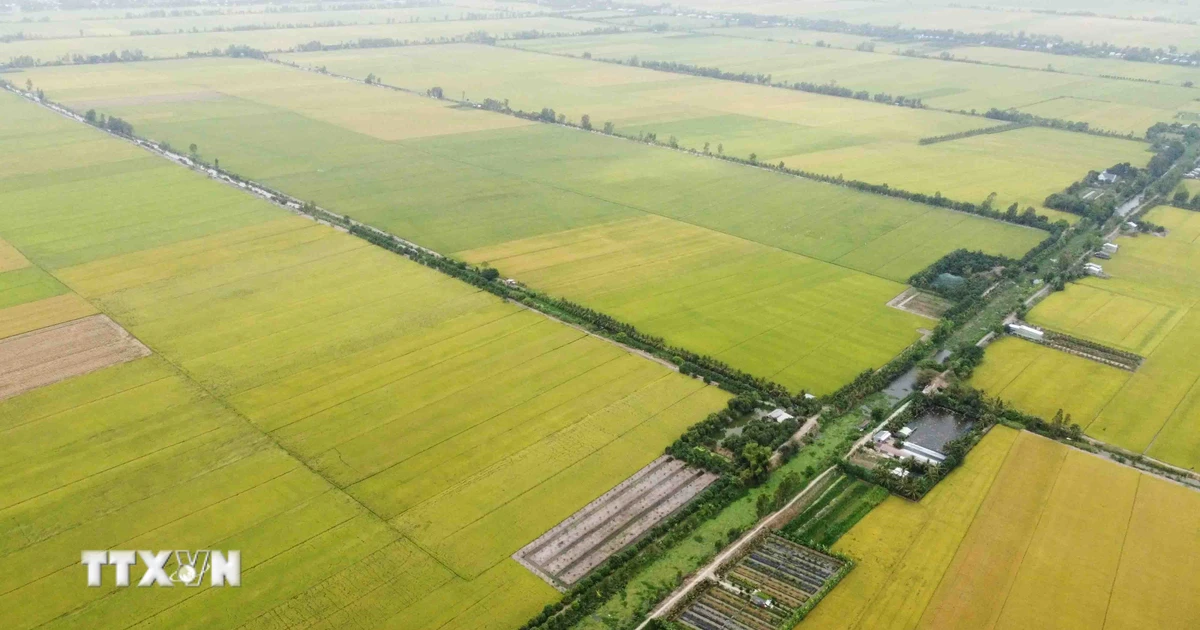 Tây Ninh dành hơn 36 tỷ đồng bảo vệ tài sản trí tuệ trong giai đoạn 2026-2030