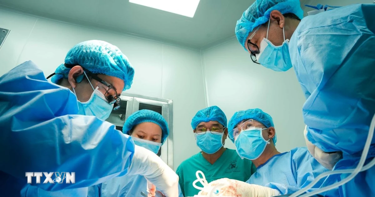 12 công trình được đề nghị xét tặng Giải thưởng cao quý về Khoa học và Công nghệ