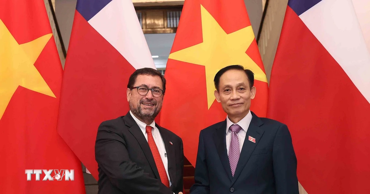 Làm sâu sắc hơn nữa quan hệ chính trị, tăng cường tin cậy giữa Việt Nam-Chile