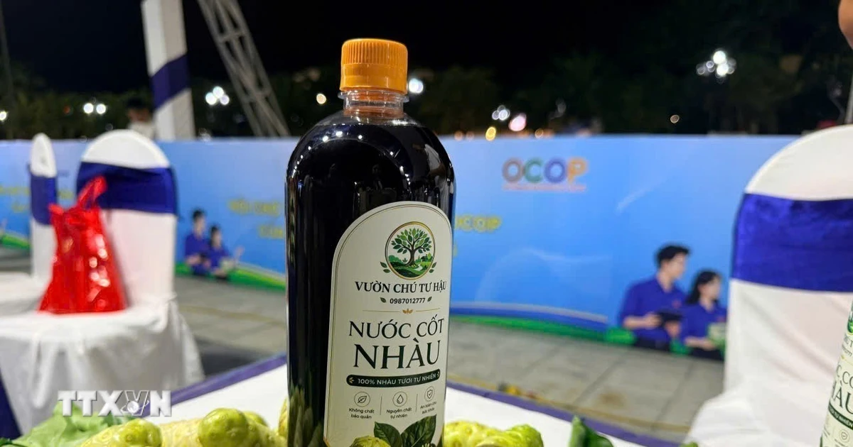 Quảng Ngãi: Những nông dân phát triển sinh kế bền vững từ cây bản địa