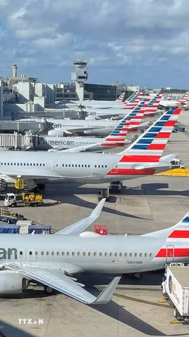 Máy bay của hãng American Airlines tại sân bay Miami, Mỹ (Ảnh minh họa: AFP/TTXVN)