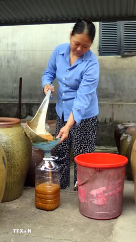 Đặc sản tương nếp Úc Kỳ đã được xuất bán đi nhiều tỉnh, thành trên cả nước. (Ảnh: Quân Trang/TTXVN)