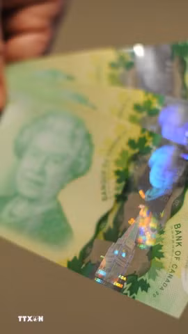 Một đồng tiền của Canada. (Ảnh minh họa: AFP/TTXVN)
