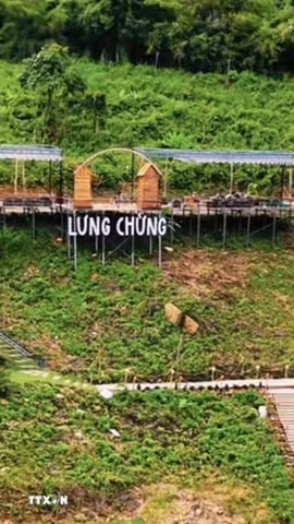 Chủ tiệm cà phê Lưng Chừng (xã Tri Tôn, An Giang) tự ý chuyển đất rừng phòng hộ sang đất phi nông nghiệp bị xử phạt vi phạm hành chính. (Ảnh: TTXVN phát)