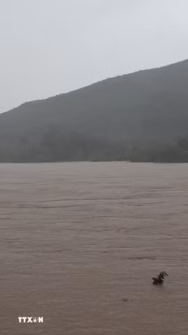 Sông Thu Bồn. (Ảnh: Anh Dũng/TTXVN)