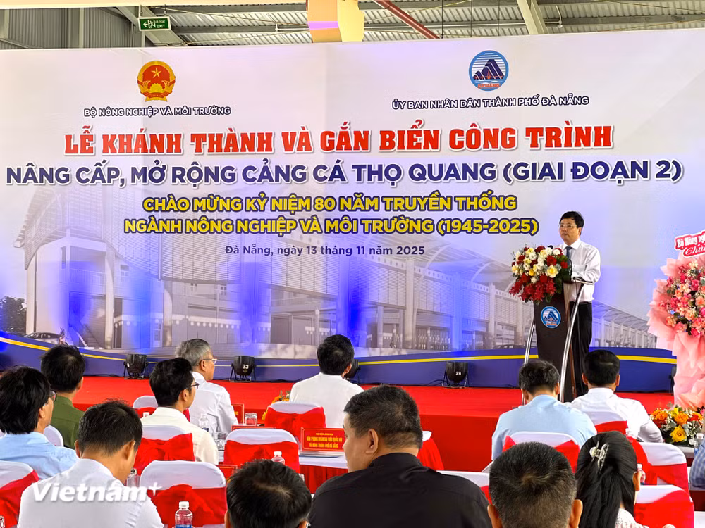 vnp-cangcathoquang05.jpg