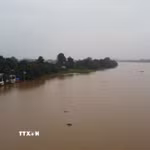 Cảnh báo lũ trên sông Đồng Nai. (Ảnh: Sỹ Tuyên/TTXVN)