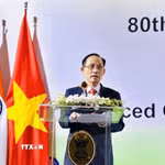 Ủy viên Bộ Chính trị, Bộ trưởng Ngoại giao Lê Hoài Trung phát biểu. (Ảnh: Việt Đức/TTXVN)