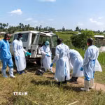 Nhân viên y tế chuyển thi thể bệnh nhân Ebola tại Bunia, tỉnh Ituri, CHDC Congo. (Ảnh: THX/TTXVN)