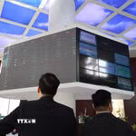 Nhà đầu tư theo dõi diễn biến thị trường cổ phiếu tại sàn HOSE. (Ảnh: Hứa Chung/TTXVN)
